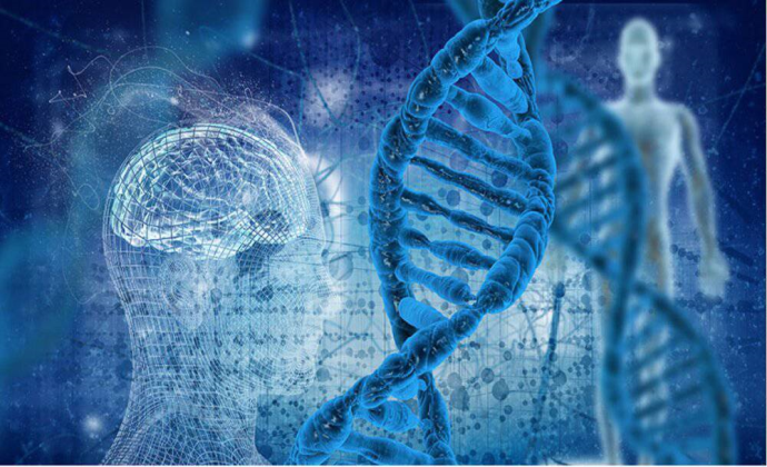 فقط بخش کوچکی از DNA ما منحصراً انسانی است