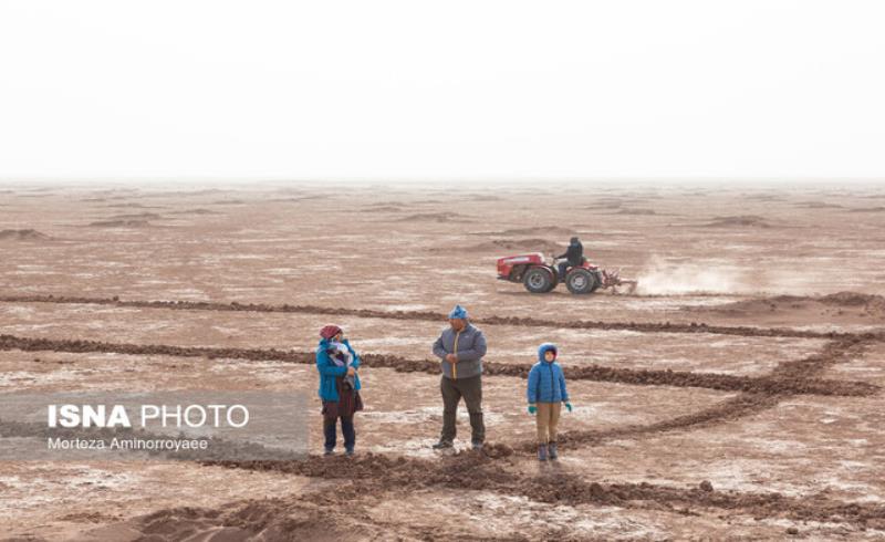 دستگاه‌ها از محل مسئولیت‌های اجتماعی‌شان پای‌کار بیابان‌زدایی بیایند