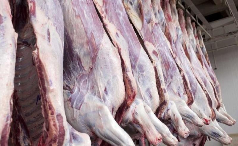 صادرات بهانه‌ای برای گرانی گوشت قرمز / سوداگری این بار در بازار دام
