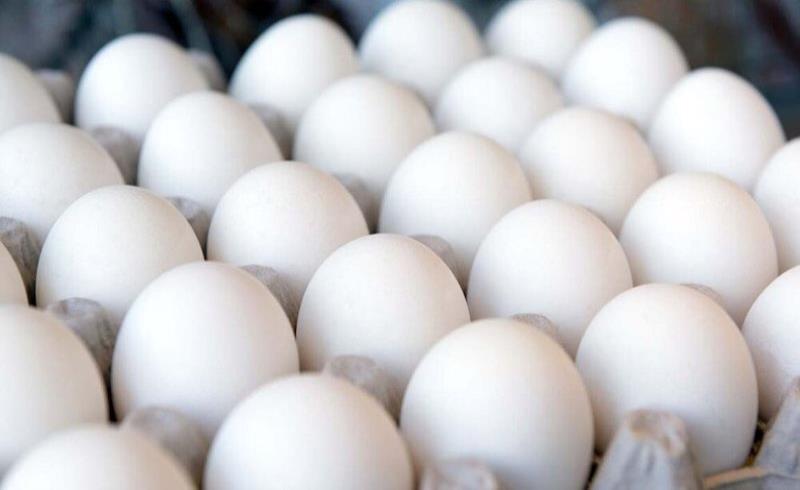 افزایش چراغ خاموش قیمت تخم‌مرغ/تخم‌مرغ نرخ مصوب کمیاب شد