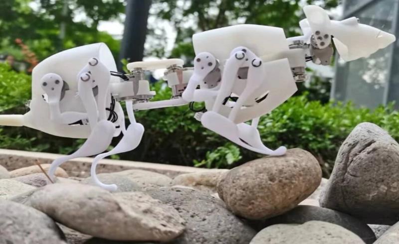موش روباتیک در جستجوی بازماندگان حوادث