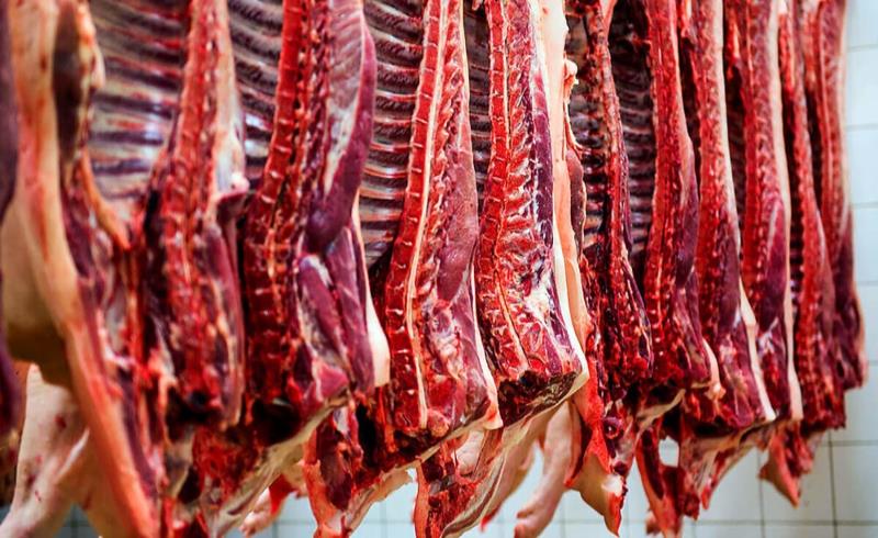 گوشت الاغ و اسب عرضه می‌شود، اما کم! /بی اطلاعی مجلس از فروش گوشت‌های غیر بهداشتی