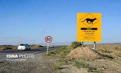 سرعت خودروهای عبوری از جاده میامی-عباس‌آباد تغییر نمی‌کند