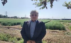 اجرای پروژه‌های تحقیقاتی مشارکتی برای افزایش عملکرد گندم در استان تهران
