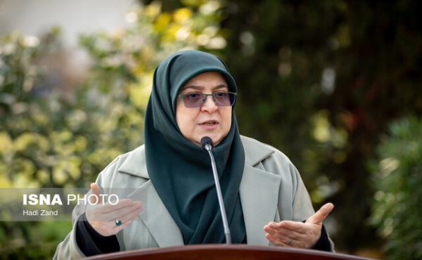 مهاجرانی: دولت در مهلت قانونی وزیر اقتصاد را به مجلس معرفی می کند