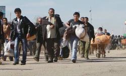 آمار اخراج اتباع از کشور اعلام شد