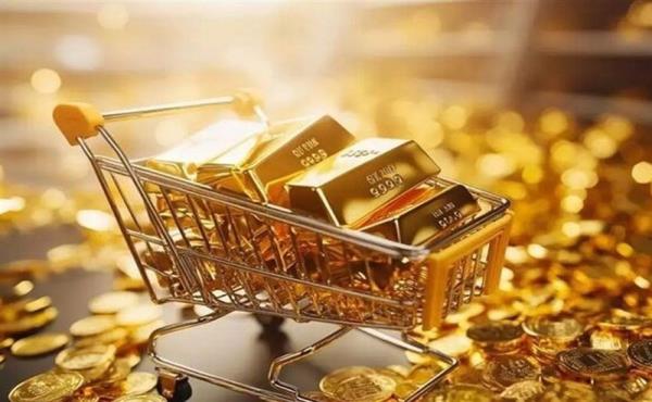 500 پلت‌فرم طلا پشت خط اجرای قانون؛ شروط بانک مرکزی مُهر دولت خورد