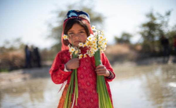 هشتمین جشنواره گل نرگس - کازرون