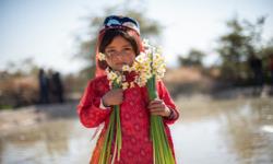 هشتمین جشنواره گل نرگس - کازرون