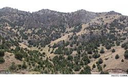 جنگل‌داری اجتماعی، پارادایم نوین مدیریت پایدار جنگل‌های زاگرس