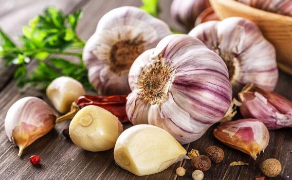 خواص باورنکردنی و معجزه آسای سیر