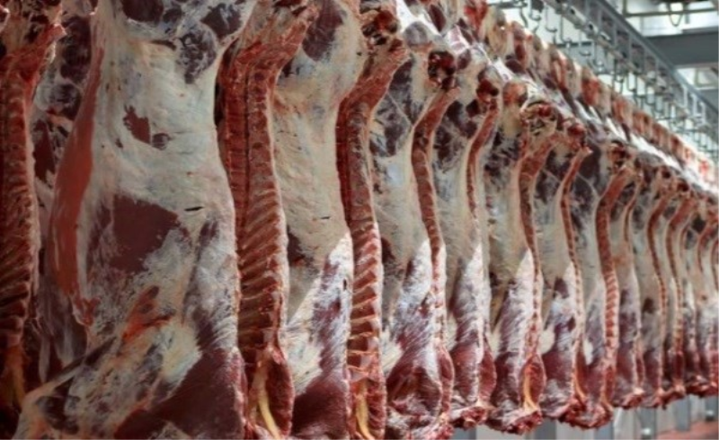 قیمت گوشت روند نزولی خواهد داشت