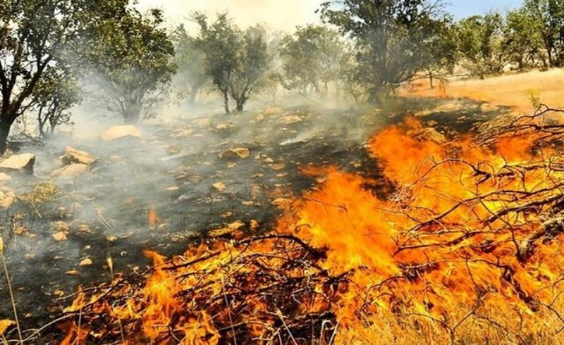 دهیاری‌ها و شوراهای روستای بخش مرکزی بروجرد برای مقابله با حریق‌ تجهیز شوند