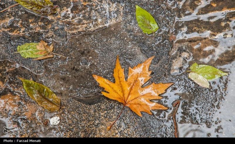 هواشناسی ایران1403/8/14؛ رگبار باران در تهران و 23 استان